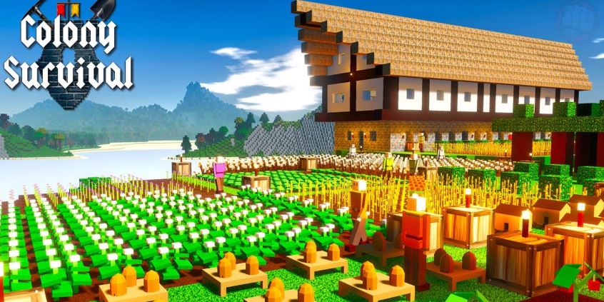 Colony Survival