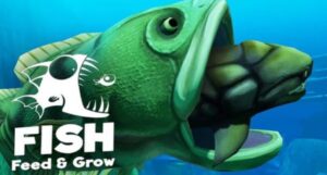 Fish Feed and Grow
