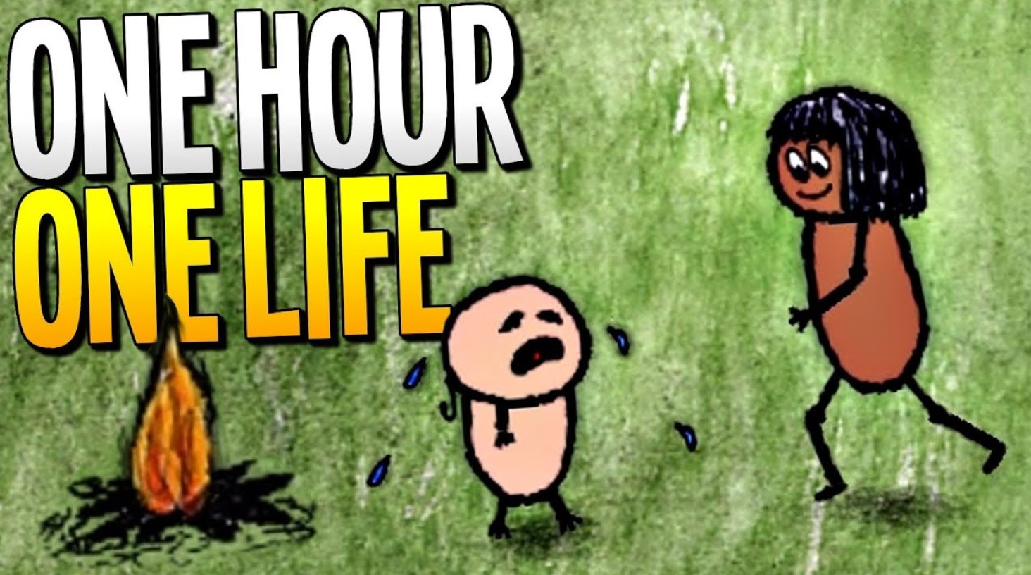 One Hour One Life