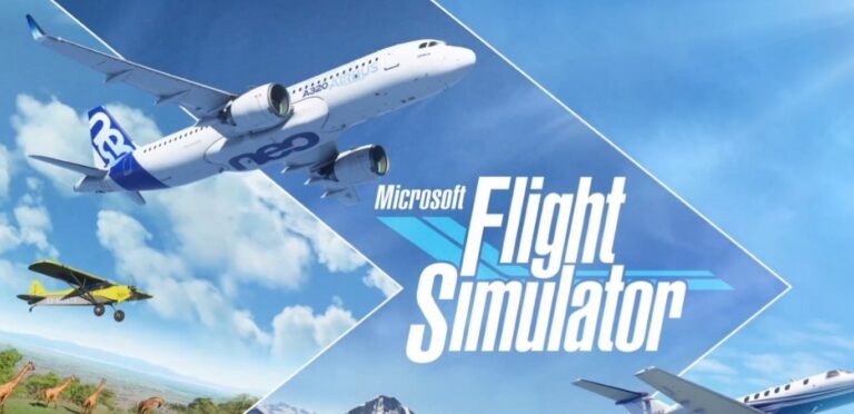 Microsoft Flight Simulator